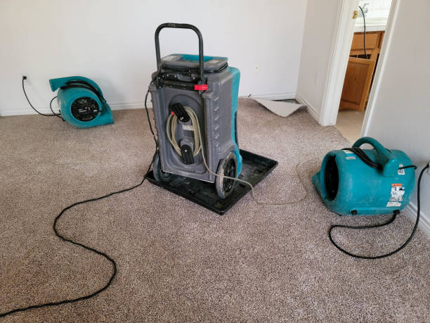 Best Flooded house restoration  in Limesa, CA