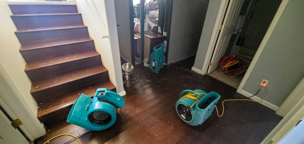 Best Water damage cleanup near me  in Limesa, CA