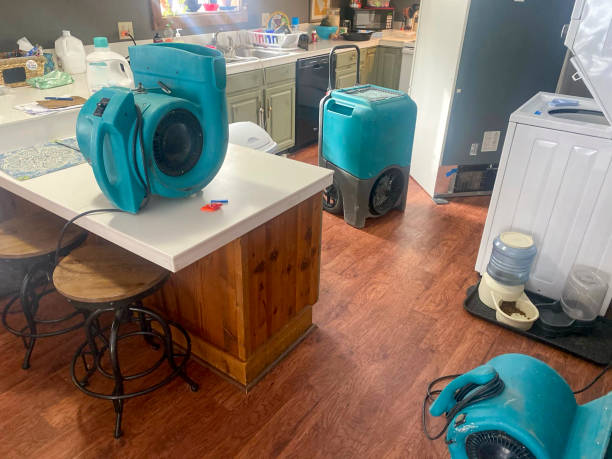 Best Water damage restoration near me  in Limesa, CA