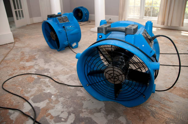 Reliable Calimesa, CA Water damage restoration Solutions