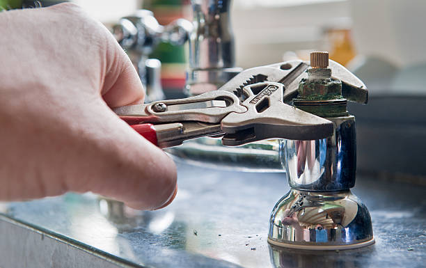 Best Professional water damage repair  in Limesa, CA