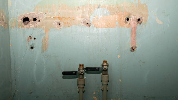 Best Local water damage restoration  in Limesa, CA