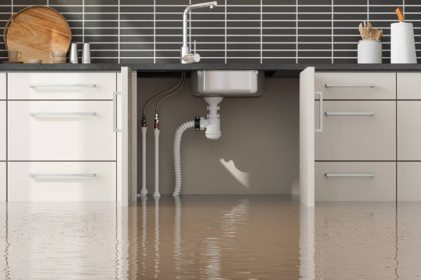 Best Local water damage restoration  in Limesa, CA